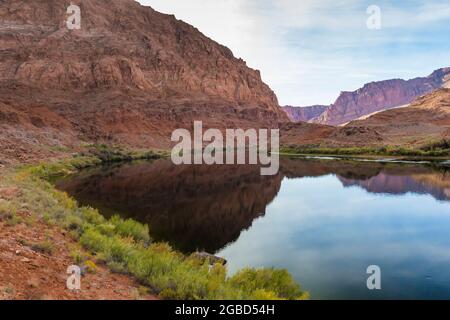 Der Colorado River fließt ruhig durch das Lees Ferry-Gebiet des Glen Canyon National Recreation Area, Arizona, USA Stockfoto