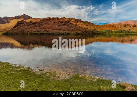 Der Colorado River fließt ruhig durch das Lees Ferry-Gebiet des Glen Canyon National Recreation Area, Arizona, USA Stockfoto