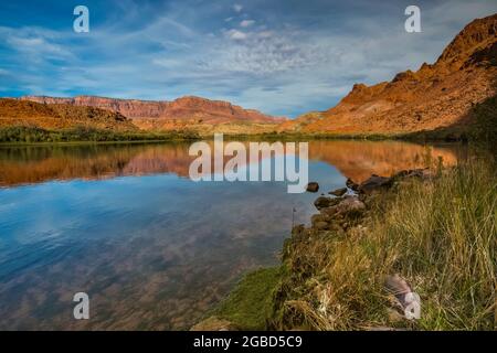 Der Colorado River fließt ruhig durch das Lees Ferry-Gebiet des Glen Canyon National Recreation Area, Arizona, USA Stockfoto