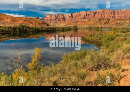 Der Colorado River fließt ruhig durch das Lees Ferry-Gebiet des Glen Canyon National Recreation Area, Arizona, USA Stockfoto