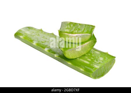 Aloe Vera Scheibe isoliert auf weißem Hintergrund mit Schnittpfad Stockfoto