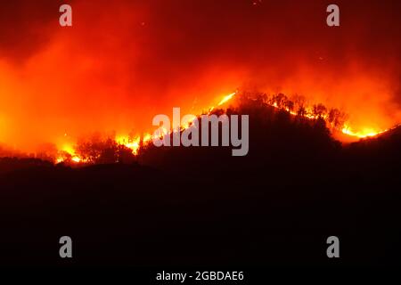 Großes Buschfeuer auf dem Land der Provinz Enna in der Nähe der Stadt Aidone auf Sizilien am 2021 Stockfoto