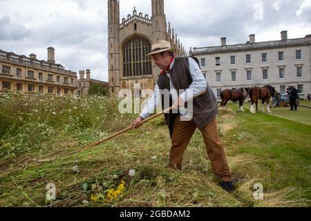 Das Bild vom 2. August zeigt Shire-Pferde beim Ernten der Wildblumenwiese am kingÕs College Cambridge am Montag. Die herrliche Wildblumenwiese am kingÕs College in Cambridge wurde heute (Mon) C traditionell mit Hilfe von zwei Shire-Pferden geerntet. Es sah aus wie eine Szene aus einem Gemälde von John Constable heute Morgen, als die beiden schweren Pferde halfen, die neue Wiese zu schneiden, die vor kurzem den berühmten gepflegten Rasen von collegeÕs ersetzte. Später in der Woche werden die Pferde das Heu auf einem traditionellen Wachmann wenden und karren, wobei die Ballen verwendet werden, um mehr Wildblumenwiesen über das zu schaffen Stockfoto