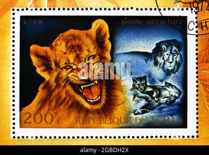 TSCHAD - UM 1972: Eine im Tschad gedruckte Marke zeigt Lion Cub, Panthera Leo, African Wild Animals, um 1972 Stockfoto