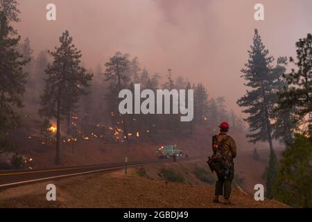 Heugabel, USA. August 2021. Ein Feuerwehrmitglied steht zu beobachten, wie das McFarland Wildfire in der Nähe von Heugabel, CA, am 1. August 2021 in der Nähe des Highway 36 kriecht. (Foto: Daniel Brown/Sipa USA) Quelle: SIPA USA/Alamy Live News Stockfoto