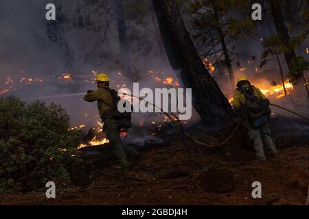 Heugabel, USA. August 2021. Feuerwehrmitglieder nutzen am 1. August 2021 einen Schlauch, um einen Bereich des McFarland Wildfire in der Nähe von Hayfork, CA, zu kontrollieren. (Foto: Daniel Brown/Sipa USA) Quelle: SIPA USA/Alamy Live News Stockfoto