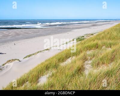 Einsamer Strand, Wellenbrecher und Dünen an der Nordseeküste der westfriesischen Insel Vlieland, Friesland, Niederlande Stockfoto