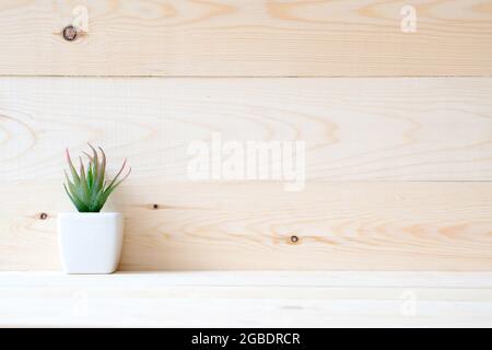 Sukulente Pflanze in einem kleinen Topf auf Holztisch gestellt Stockfoto