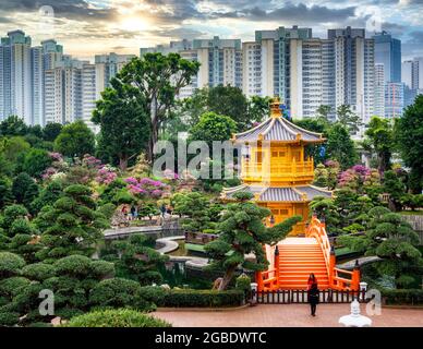 HONGKONG, HONGKONG - 24. Jul 2018: Panoramablick auf die majestätischen Nan Lean Gardens mit einem HK-Hochhaus im Hintergrund und einem sonnendurchfluteten Himmel... Stockfoto