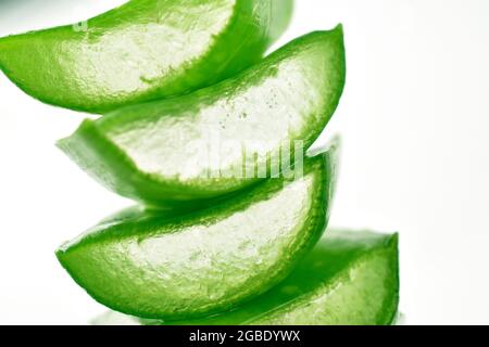 Aloe Vera Scheiben isoliert auf weißem Hintergrund Stockfoto