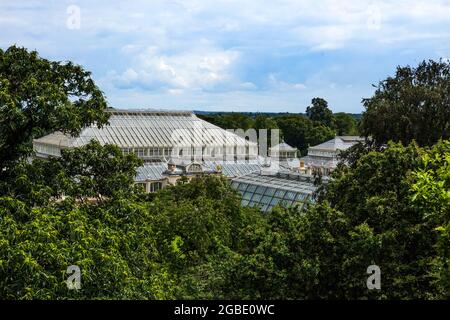 Kew Gardens, London 2021. Luftaufnahme des gemäßigten Hauses vom Tree Top Walkway aus gesehen, der ein erhöhter Gehweg durch das Baumdach ist. Stockfoto