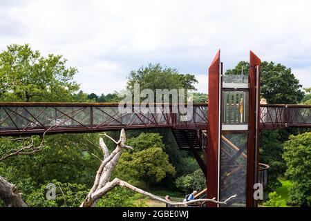 Kew Gardens, London 2021. Der Tree Top Walkway ist 18 Meter hoch und bietet Besuchern die Möglichkeit, die Umgebung und das Baumdach von einem Höhenweg aus zu betrachten Stockfoto