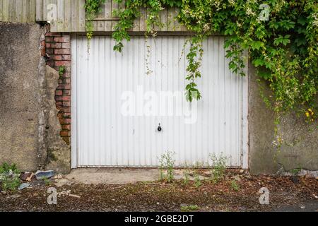 Weißes Metall Garagentor unter großen bewachsenen Efeu-Pflanze Stockfoto