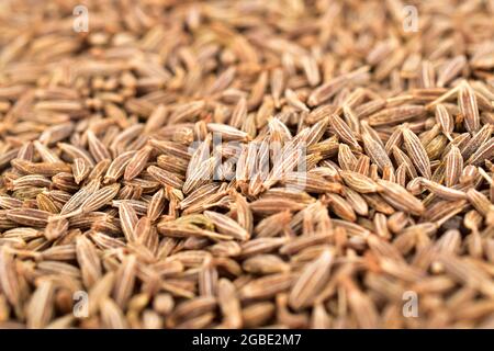Makrobild Von Kreuzkümmel, Kreuzkümmel-Textur Stockfoto