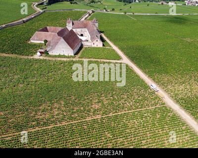 Luftblick auf grüne Grand Cru- und Premier Cru-Weinberge mit Reihen von Pinot Noir-Trauben in Cote de nuits, die aus berühmten roten und weißen Burgun hergestellt werden Stockfoto