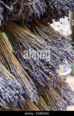 Trauben von aromatischen getrockneten Lavendel- oder Lavandin-Blumen zum Verkauf im Geschäft in der Provence, Frankreich Stockfoto