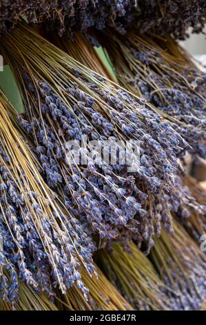 Trauben von aromatischen getrockneten Lavendel- oder Lavandin-Blumen zum Verkauf im Geschäft in der Provence, Frankreich Stockfoto