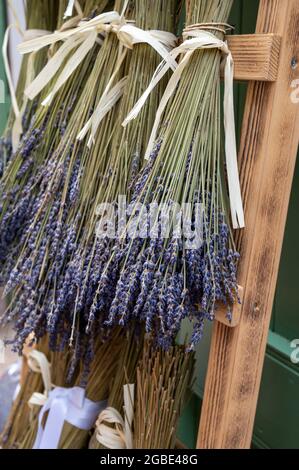 Trauben von aromatischen getrockneten Lavendel- oder Lavandin-Blumen zum Verkauf im Geschäft in der Provence, Frankreich Stockfoto