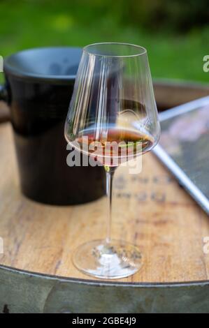 Verkostung von trockenem, teurem burgundischen Rotwein aus Pinot Noir-Trauben, Wein tourisme zur Weinregion Burgund Cote de Nuits, Frankreich Stockfoto