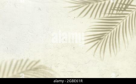 Palmblattschatten auf einem abstrakten Hintergrund einer weißen Betonwand. Stockfoto