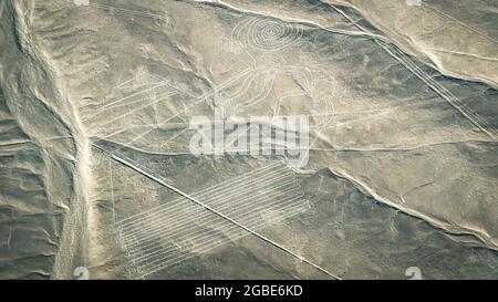 Die Affe Nazca uralte geheimnisvolle Geoglyphe. Nazca-Linien aus der Sicht des Flugzeugs. Nazca-Linien sind Wahrzeichen von Peru Stockfoto