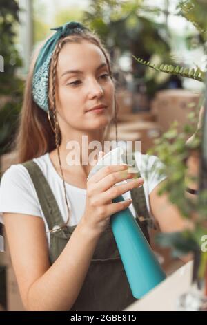 Junge Geschäftsfrau sprüht Pflanzen in Blumentöpfen auf dem Gestell. Stockfoto