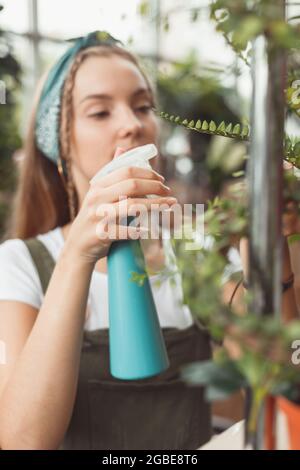 Junge Geschäftsfrau sprüht Pflanzen in Blumentöpfen auf dem Gestell. Stockfoto