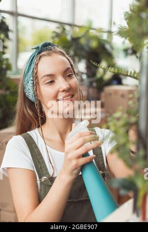 Junge Geschäftsfrau sprüht Pflanzen in Blumentöpfen auf dem Gestell. Stockfoto