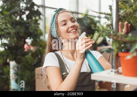 Junge Geschäftsfrau sprüht Pflanzen in Blumentöpfen auf dem Gestell Stockfoto