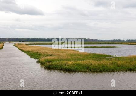 Shiawassee Flats National Wildlife Refuge, Sommer, Saginaw County, Michigan, USA, Von James D. Coppinger/Dembinsky Photo Assoc Stockfoto