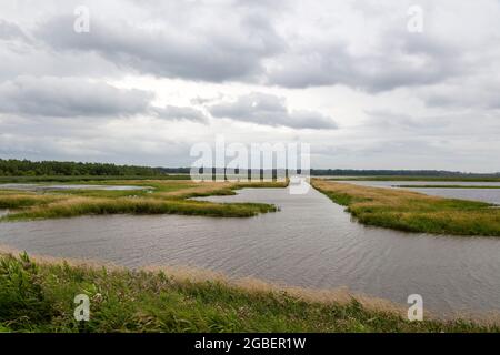 Shiawassee Flats National Wildlife Refuge, Sommer, Saginaw County, Michigan, USA, Von James D. Coppinger/Dembinsky Photo Assoc Stockfoto