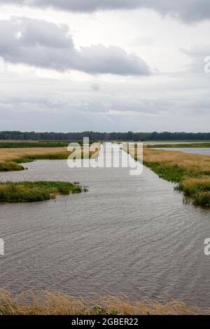 Shiawassee Flats National Wildlife Refuge, Sommer, Saginaw County, Michigan, USA, Von James D. Coppinger/Dembinsky Photo Assoc Stockfoto