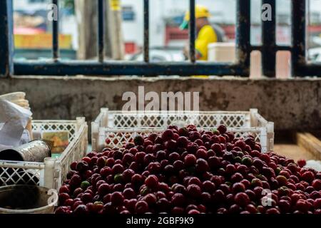 Salvador, Bahia, Brasilien - 15. September 2018: Frisches Obst zum Verkauf auf der Messe São Joaquim in Salvador, Bahia. Stockfoto