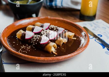 Envueltos de mole poblano oder Enchiladas mit Huhn, traditionelle mexikanische Küche in Mexiko-Stadt Stockfoto