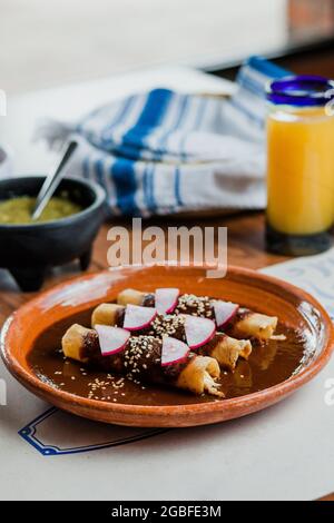 Envueltos de mole poblano oder Enchiladas mit Huhn, traditionelle mexikanische Küche in Mexiko-Stadt Stockfoto