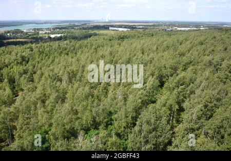 30. Juli 2021, Sachsen, Rötha/OT Mölbis: Von einem 30 Meter hohen Aussichtsturm auf dem Rundwanderweg des ehemaligen Schutthaufens hat der Besucher einen Blick über die Bäume bis in die ehemals schmutzige und jetzt grüne Landschaft mit vielen Seen. Die Sanierung eines Rundweges mit Sitzmöbeln, Wegweisern und Designokaten ist eines der Projekte der Dorfentwicklungsgesellschaft, die neben der Neugestaltung des Schlossparks im Zentrum des Dorfes auch den Schutthaufen, Der zu DDR-Zeiten von Bürgerrechtlern als Wallfahrtsort genutzt wurde. Mölbis wurde berühmt in Stockfoto