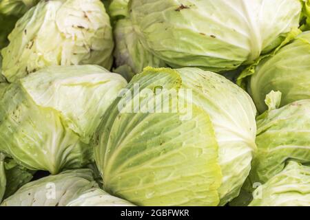 Kohl in Nuwara Eliya, Sri Lanka Stockfoto