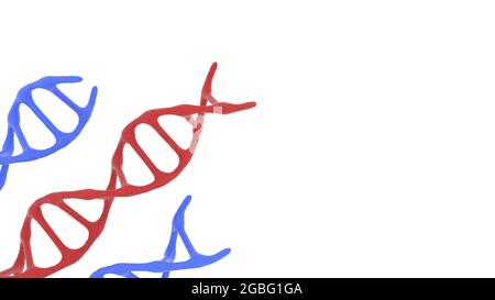3D-Rendering von DNA-Molekülen auf weißem Hintergrund Stockfoto