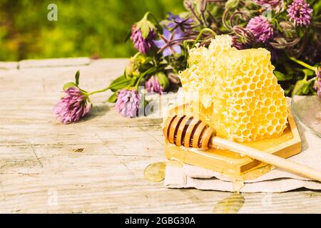 Frische Honigwaben liegen auf einem hölzernen Schüssel Teller auf einem Sommer ländlichen Hintergrund mit Kräutern. Blumig duftendes Dessert mit süßem Honig Stockfoto