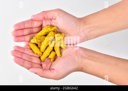 Roher Kurkuma In Der Hand Isoliert Auf Weißem Hintergrund Mit Beschneidungspfad Stockfoto