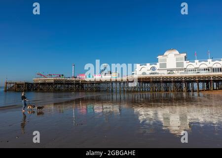 England, Hampshire, Portsmouth, Southsea, Woman Walking Dogs on Beach at Low Tide vor dem Southsea Pier Stockfoto