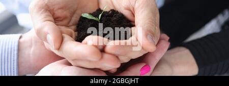 Viele Hände halten kleine grüne sprießen mit Erde Stockfoto