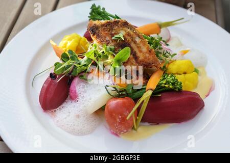 Gebratener Fisch auf Gemüse wie Karotten, Blumenkohl, Rüben und Tomaten mit Safransauce und Schaum, garniert mit Kräutern und Sprossen auf einem weißen Teller, Stockfoto