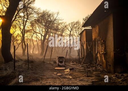 Varibobi, Griechenland. August 2021. Ein ausgebranntes Haus nach einem Waldbrand im Gebiet Varibobi im Norden Athens. Quelle: Angelos Tzortzinis/dpa/Alamy Live News Stockfoto