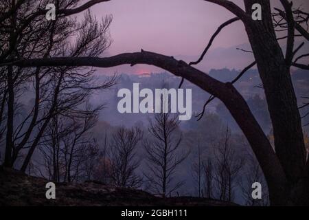 Varibobi, Griechenland. August 2021. Nach einem Waldbrand im Gebiet Varibobi im Norden Athens steigt Rauch aus einem verbrannten Waldgebiet auf. Quelle: Angelos Tzortzinis/DPA/Alamy Live News Stockfoto