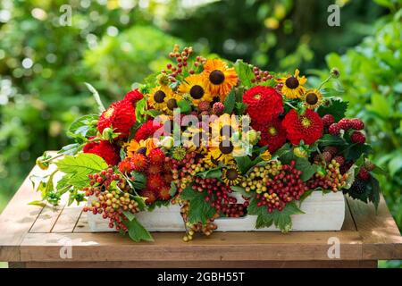 botanik, spätsommerliche Blumenarrangement Gomphrena globosa, ZUR GRUSSKARTEN-/POSTKARTENVERWENDUNG IN KEIMSPRECHEN.C ES KÖNNEN BESTIMMTE EINSCHRÄNKUNGEN GELTEN Stockfoto