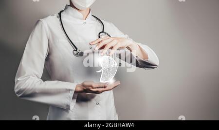 Ärztin mit virtueller Skizze der Milz in der Hand. Handgezeichnetes menschliches Organ, Kopierraum auf der rechten Seite, graue hdr-Farbe. Gesundheitswesen Krankenhaus s Stockfoto