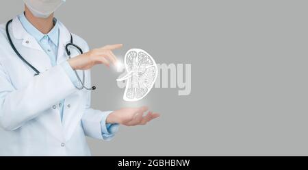 Ärztin mit virtueller Skizze der Milz in der Hand. Handgezeichnetes menschliches Organ, Kopierraum auf der rechten Seite, RAW-Fotofarben. Krankenhaus im Gesundheitswesen Stockfoto