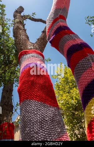 Farbenfrohe gestrickte und gehäkelte Garne umhüllen einen Stamm eines „Yarn Bombed“-Baumes, einer Art Street-Art-Installation namens Yarn Bombing oder yarnbombing in Jerusalem Israel Stockfoto