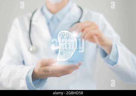 Ärztin mit virtueller Skizze der Milz in der Hand. Handgezeichnetes menschliches Organ, rohe Fotofarben. Healthcare Krankenhaus Service Konzept Stock ph Stockfoto